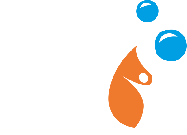 Elo